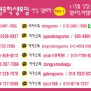 동유모닷컴 이미지