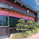 월내반점 이미지