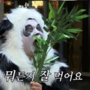 뒤웅박고을 | W11. 상견례 후기 :: 공주/세종 뒤웅박고을 정성 상견례 후기/ 상견례PPT후기