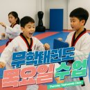 경희대 석사 태권나라 태권도장 | 🥋 오늘은 무학태권도 TEST DAY!망포동 태권도학원 무학태권도장에서 한 단계 더 성장하는 하루!