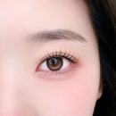 앙비떼 | 부천속눈썹펌, 부천속눈썹수강 앙비떼뷰티 다녀온 리얼 후기