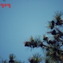 남산공원 화장실 이미지