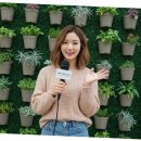 매일커피 이미지