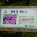 청학사 - 1344 | 청학사