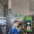 고레에다 히로카즈 감독의 상자 속의 양 후기와 해석