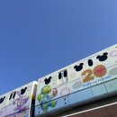 메디존스 | [공지] 25.11월 도쿄 디즈니씨 day2