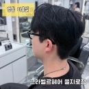 님에게 | 명동미용실| 그라벨르헤어 을지로점에서 온실장님에게 남자 톤다운염색 후기