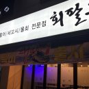회팔구