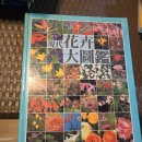 1988년 발간 "현대화분대도감" 이미지