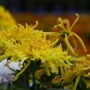 대구수지 이미지