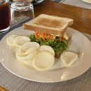 망고네 까까 | 필리핀 보홀 숙소 한인 스쿠버다이빙 샵 라팡리조트 내돈내산 솔직후기