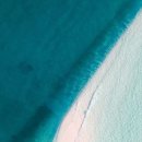 (주)돼지와 건강 이미지