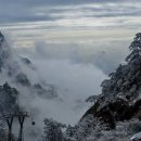 정승