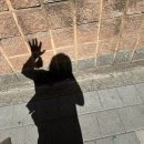 엠와이소울마켓아비꼬 | 한 거 없는데 한 게 많았던 4월 🌙 여름이와 나의 생일 🍰