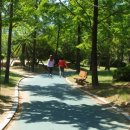 김해시 X-게임장 이미지