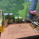 대항펜션 이미지