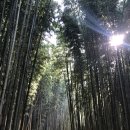 태화강순두부 이미지