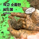 흙놀이미술학원