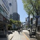 21세기 헤어샵 | 경성대 미용실 추천｜유바이브헤어 호유재생클리닉, 가성비 끝판왕 손상모 케어 후기