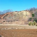 포항 달전리 주상절리(浦項 達田里 柱狀節理) 이미지