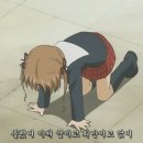 우리집강아지 이미지