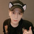 단디 머니투데이