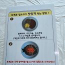 한방염소촌 네이버블로그