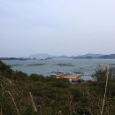 장보고공원 Daum카페