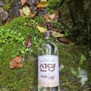 지에스25(GS25)대전죽동점 | GS25 선양소주 오크 후기 | 가격, 파는곳, 맛, 칼로리 총정리