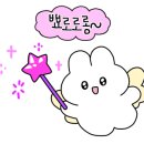 펫츠다이닝(pet's dining) 이미지