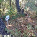 매봉축산 이미지