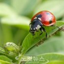 동부친환경농자재 이미지