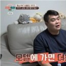 알지모텔 마이데일리