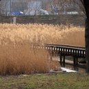 대호정비 이미지