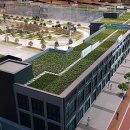 대림아파트 단지 내 이미지