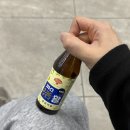2026 : 04 - 나 아직 봄이다