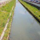 운수천계곡(1) 이미지