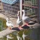 연천 임진강댑싸리공원, 세라비한옥카페, 옥녀봉 그리팅맨, 허브빌리지 이미지