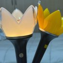 두우 | 2026.08.21 빅뱅20주년 첫콘 다녀온 후기 : [멤버쉽부스] • [MD 대기시간]