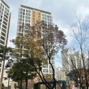 평화정비공업사 | 2. e편한세상염창