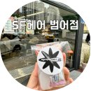 도경(Do. Kyung) | 범어동 미용실 대구 SF헤어 범어점 클리닉 후기