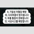 함양 "일두고택"[2023년 12월 9일(음: 10월27일)일출 7시 34분.일몰17시14분] 이미지