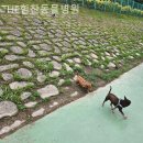 THE힘찬동물병원 | 경기광주 근처동물병원 THE힘찬동물병원 24시동물병원