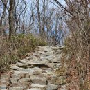 노고단-18 | 18개월 아기랑 지리산 노고단 등산 비추 후기