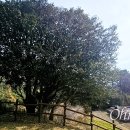 동백환경 이미지