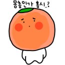 싱싱도서관 이미지