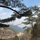 금산천길 | [★펜션 후기] 스테이인터뷰 금산 / 가마솥한우진곰탕 / 월영산 출렁다리