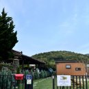 리틀 타이니 하우스 이미지