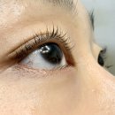 수정상가 | 경기도 성남 지하상가 속눈썹언니에서 속눈썹뷰러펌한 후기