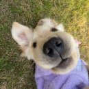 2022년 Grace 전산회계2급(필기) | 2022년 103회 전산회계 2급 비전공자 노베이스 독학 합격 후기 (no광고)